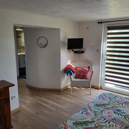 Le Clos D'Aure. Oberhaslach Bagian luar foto