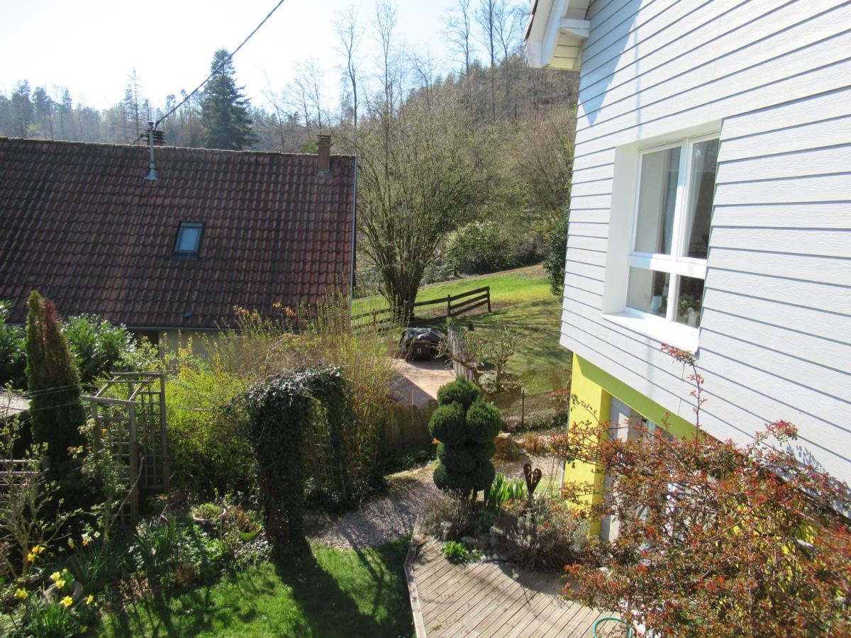Le Clos D'Aure. Oberhaslach Bagian luar foto