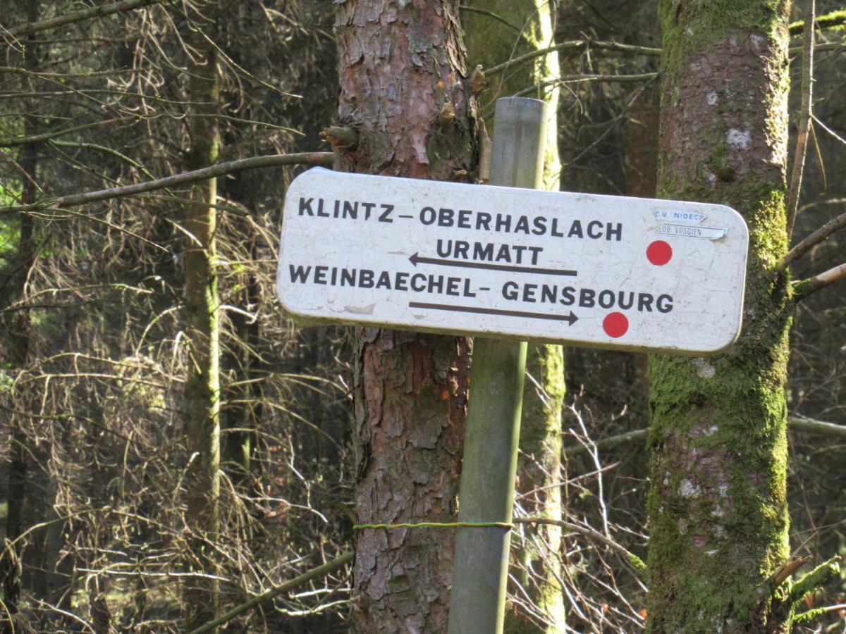 Le Clos D'Aure. Oberhaslach Bagian luar foto