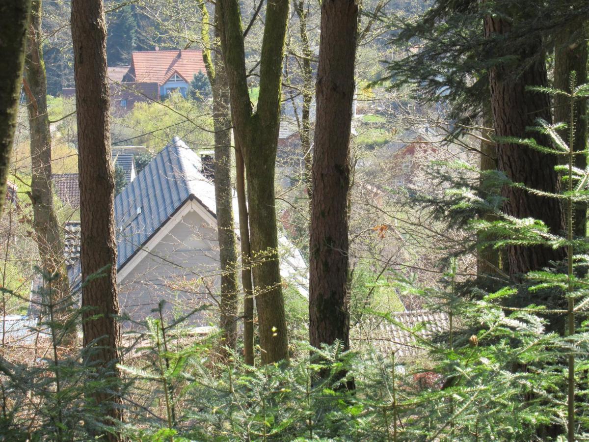 Le Clos D'Aure. Oberhaslach Bagian luar foto