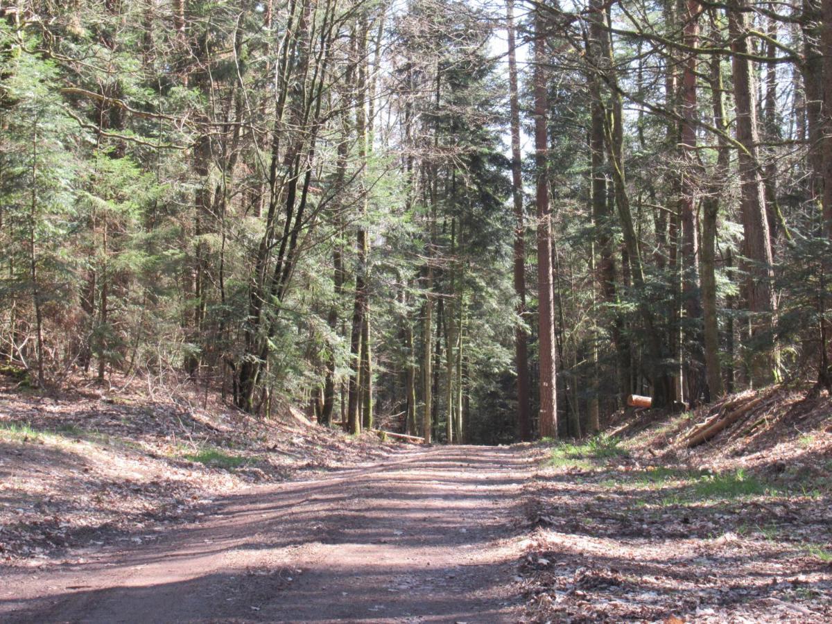 Le Clos D'Aure. Oberhaslach Bagian luar foto
