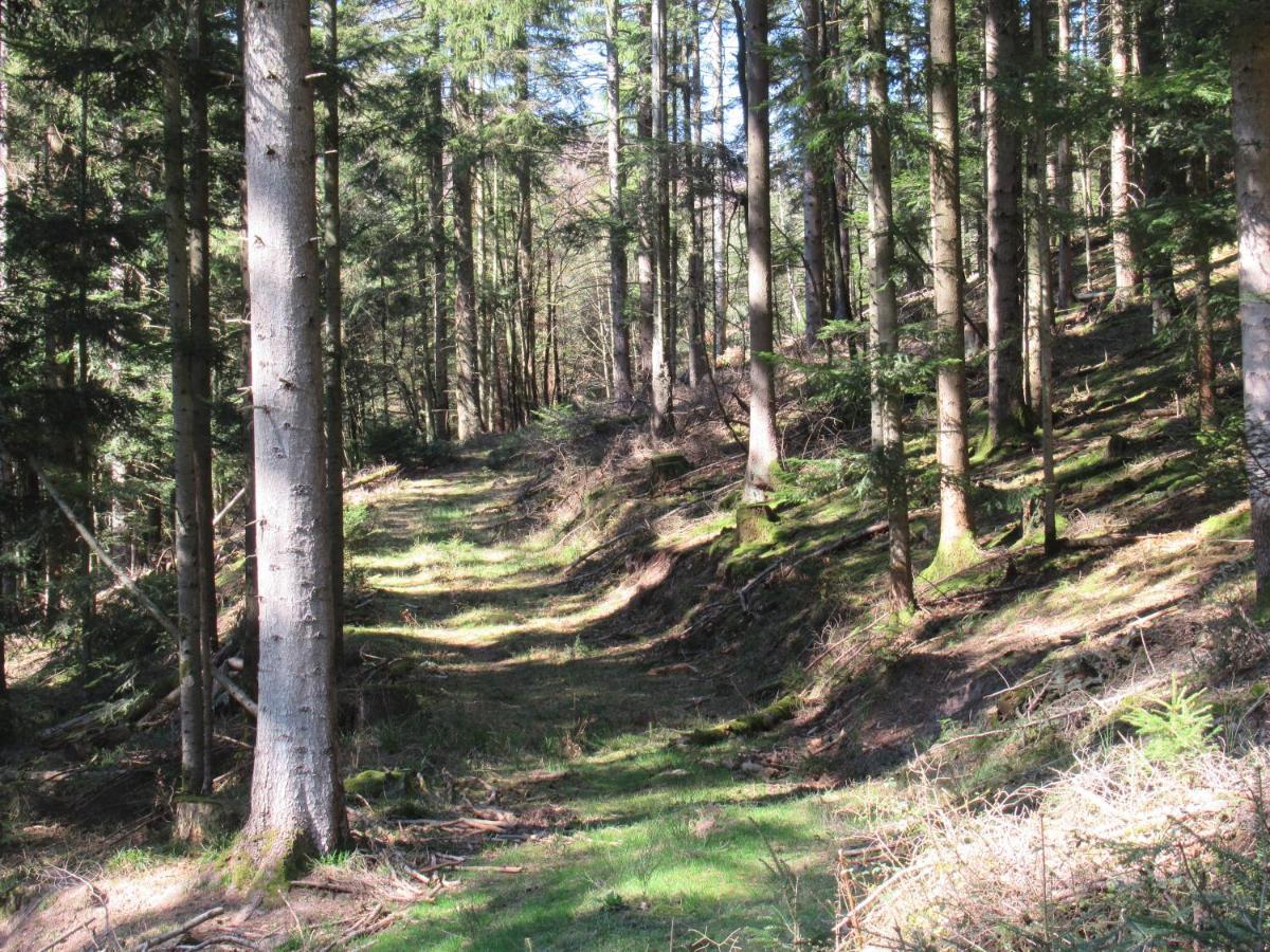 Le Clos D'Aure. Oberhaslach Bagian luar foto