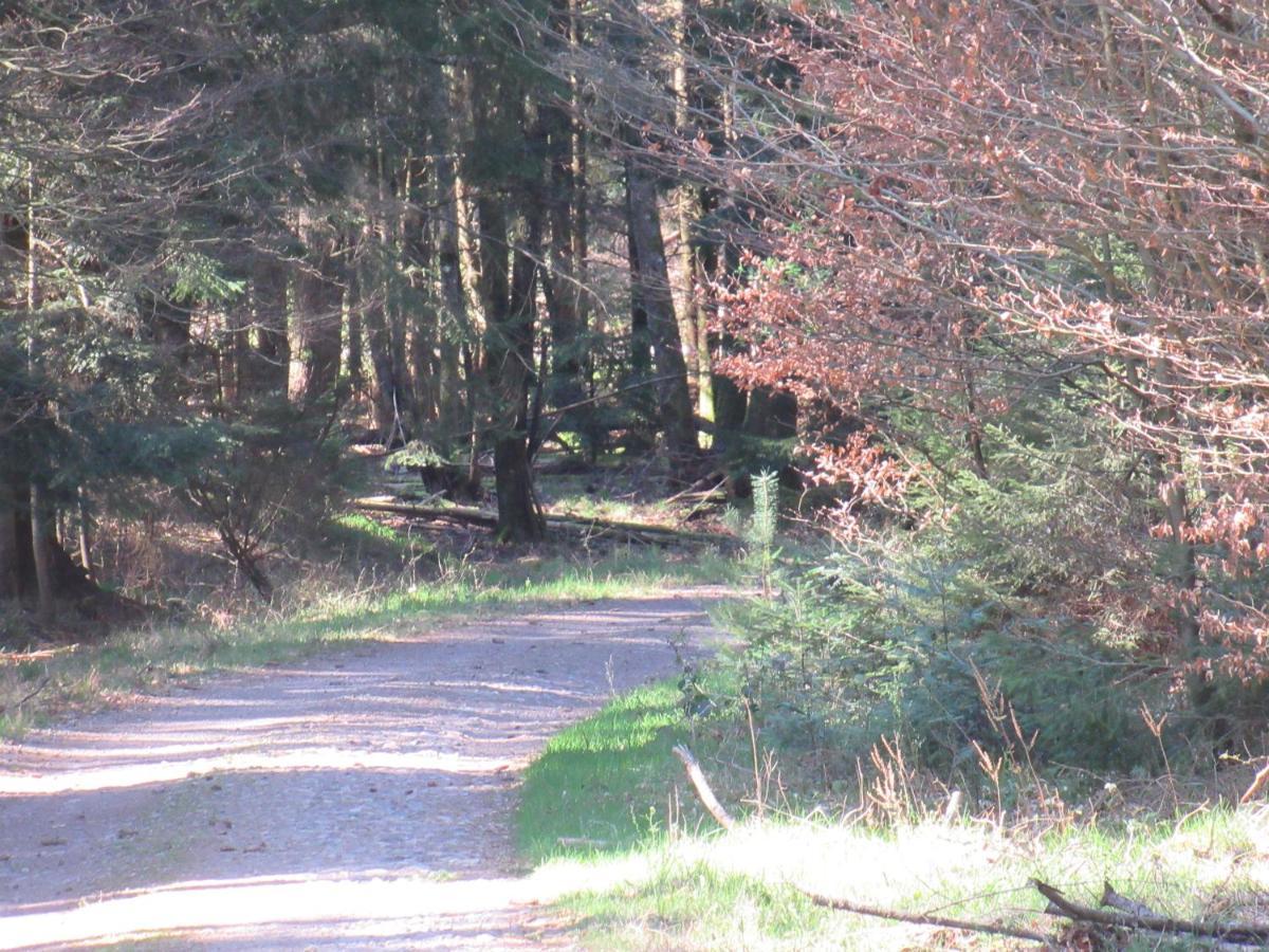 Le Clos D'Aure. Oberhaslach Bagian luar foto