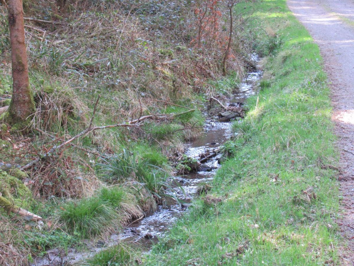 Le Clos D'Aure. Oberhaslach Bagian luar foto
