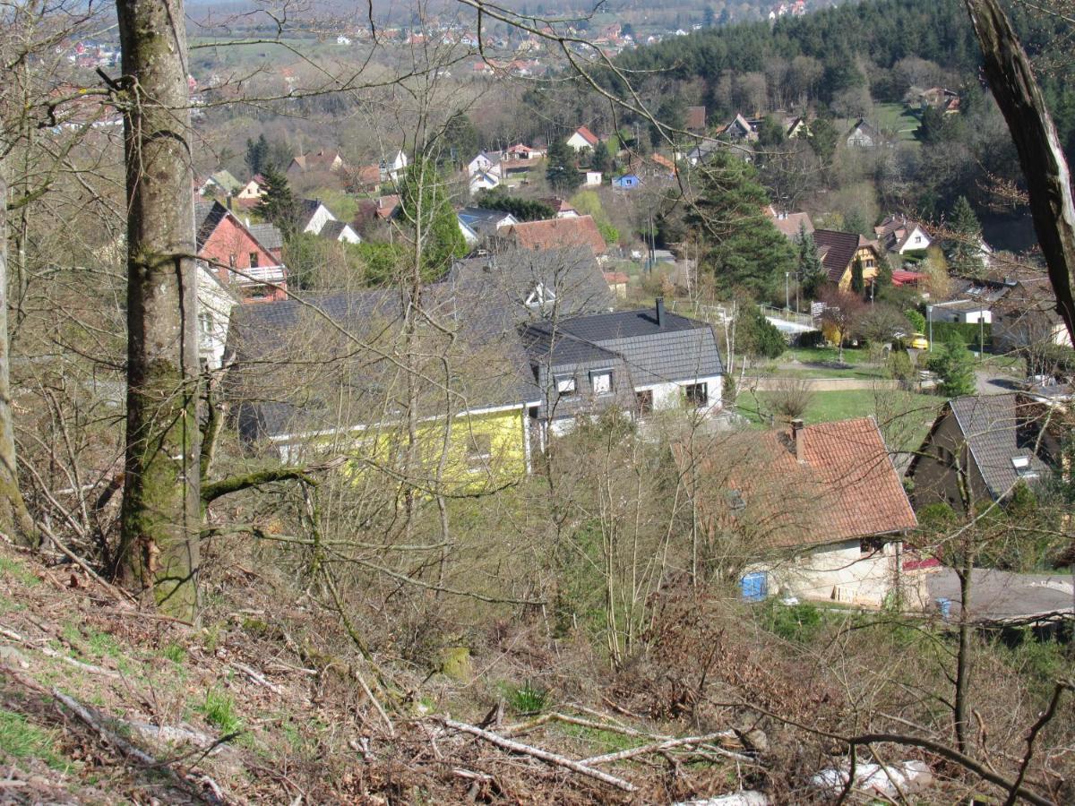 Le Clos D'Aure. Oberhaslach Bagian luar foto