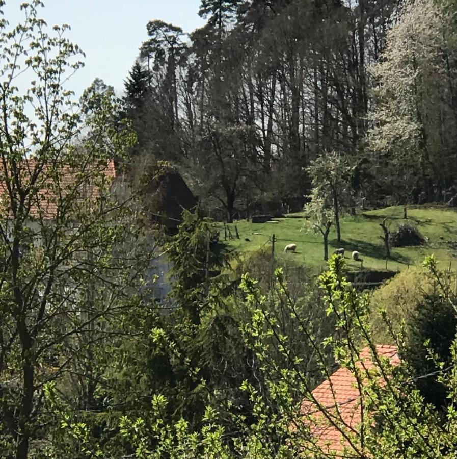 Le Clos D'Aure. Oberhaslach Bagian luar foto